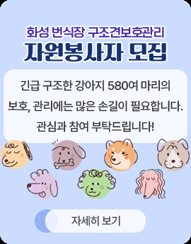 화성 번식장 구조견보호관리
자원봉사자 모집
긴급 구조한 강아지 580여 마리의
보호, 관리에는 많은 손길이 필요합니다.
관심과 참여 부탁드립니다!
자세히 보기