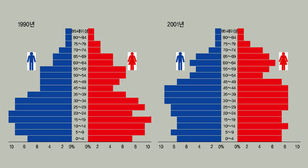 그림 2. 인구 피라미드 이미지