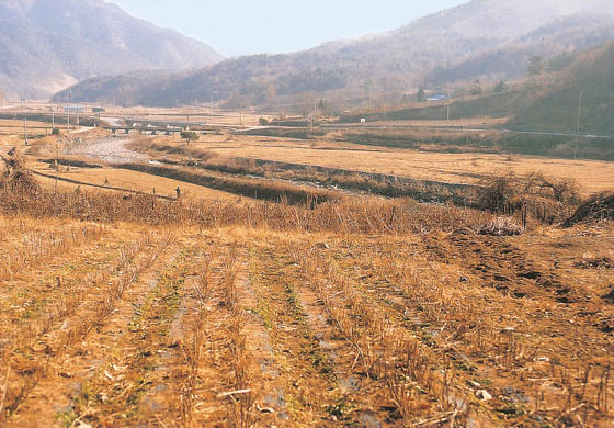 도전리 조선백자요지 전경 이미지