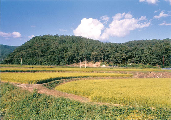 중암리 고려백자요지 전경 이미지