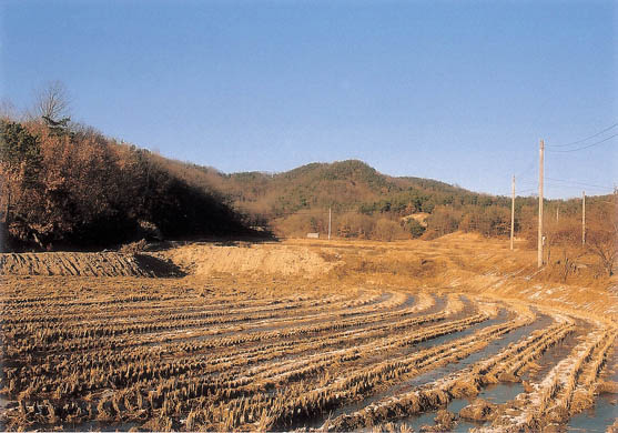 상교리 조선백자요지 전경 이미지