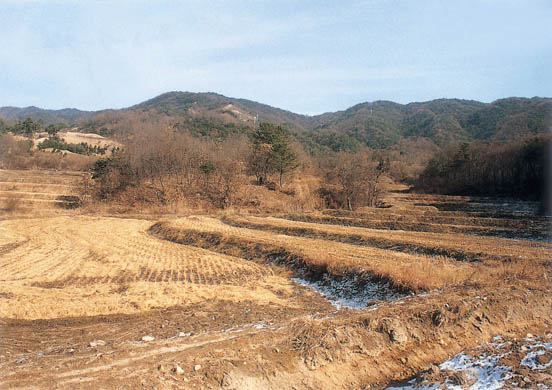 운촌리 조선백자요지 전경 이미지