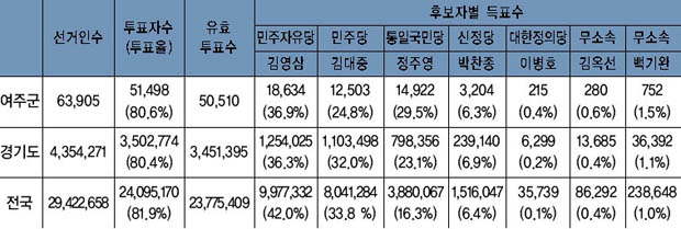 제14대 대통령 선거 결과 이미지