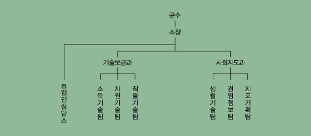 조직표 이미지