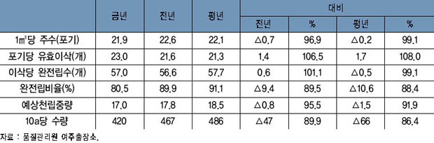 논벼 수량 구성 요소 이미지