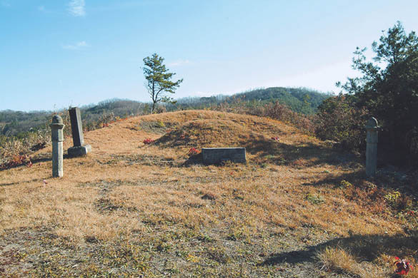 배천 조씨 조석주 묘 전경 이미지