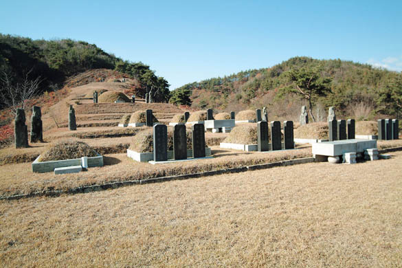 청주 곽씨 세장 묘역 전경 이미지