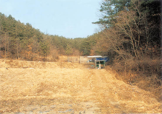 상교리 고려청자요지 전경 이미지