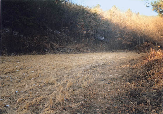 상교리 조선백자요지 전경 이미지