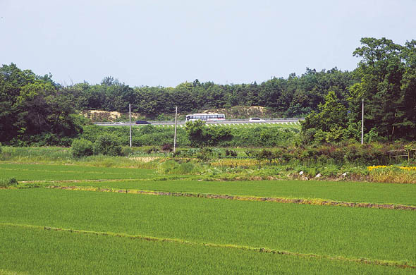 적금리 유물산포지 전경 이미지