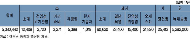 예방접종 현황 이미지